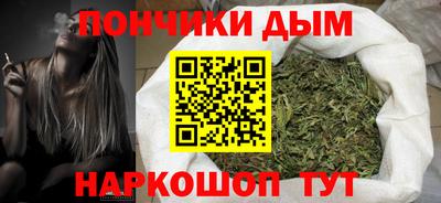крисы Новодвинск