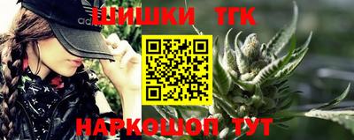 крисы Новодвинск