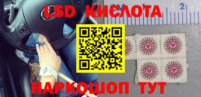 крисы Новодвинск