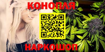 крисы Новодвинск