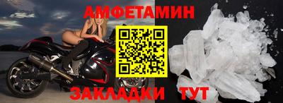 крисы Новодвинск