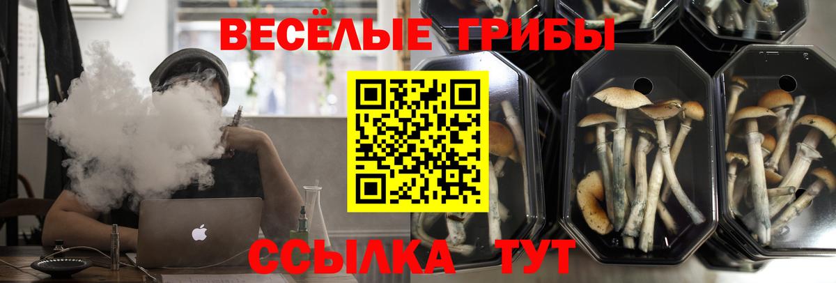 наркота  Псилоцибиновые грибы мицелий  Вход с VPN  Псилоцибиновые грибы мицелий  Советский 
